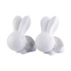 Rabbit Cute Pair Statue for Home Decor Showpiece | Kids Room Decorative Showpiece (White) - Image 4